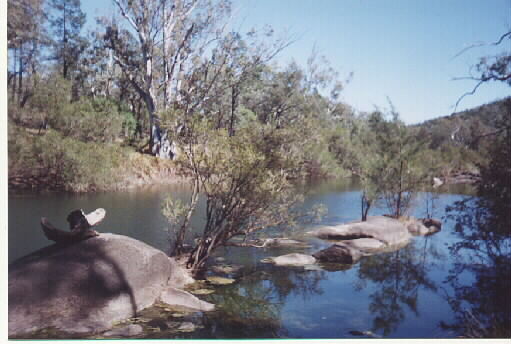 McIntyre River, NSW, Oz